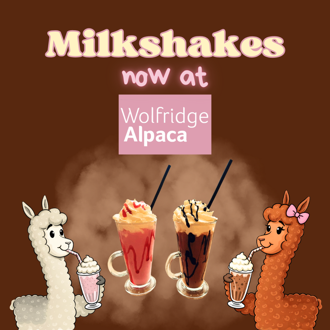 milkshake sq